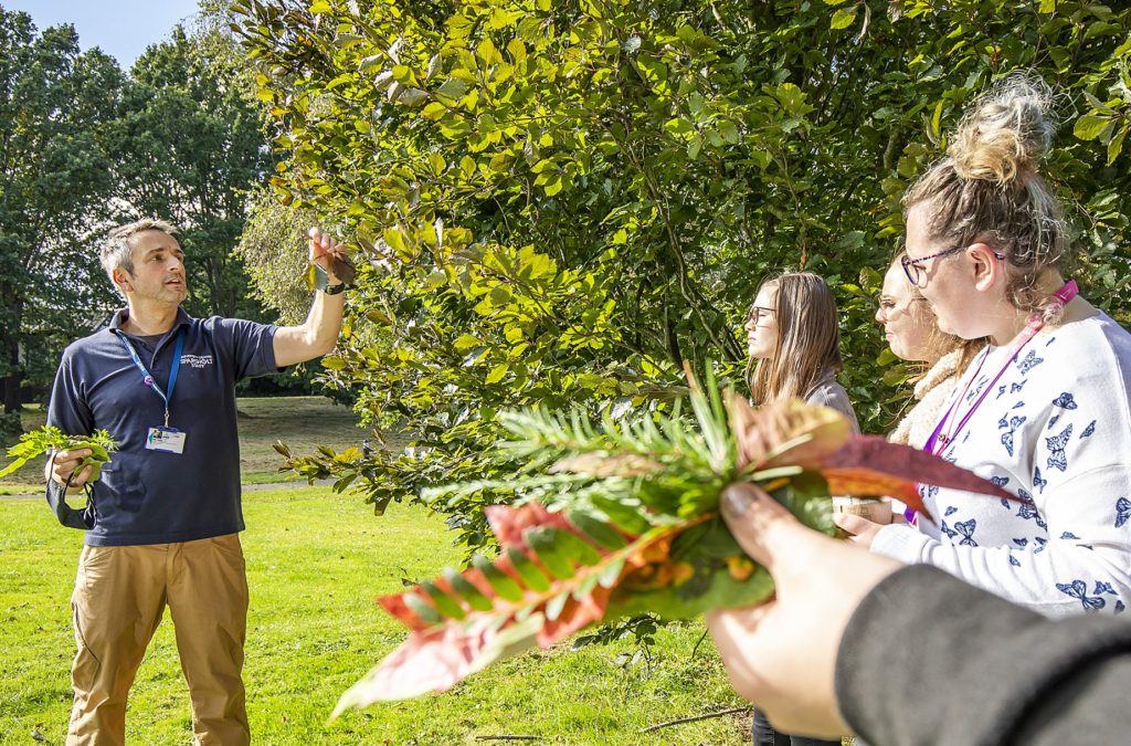 Lecturer inspecting tree health by looking at the leaves