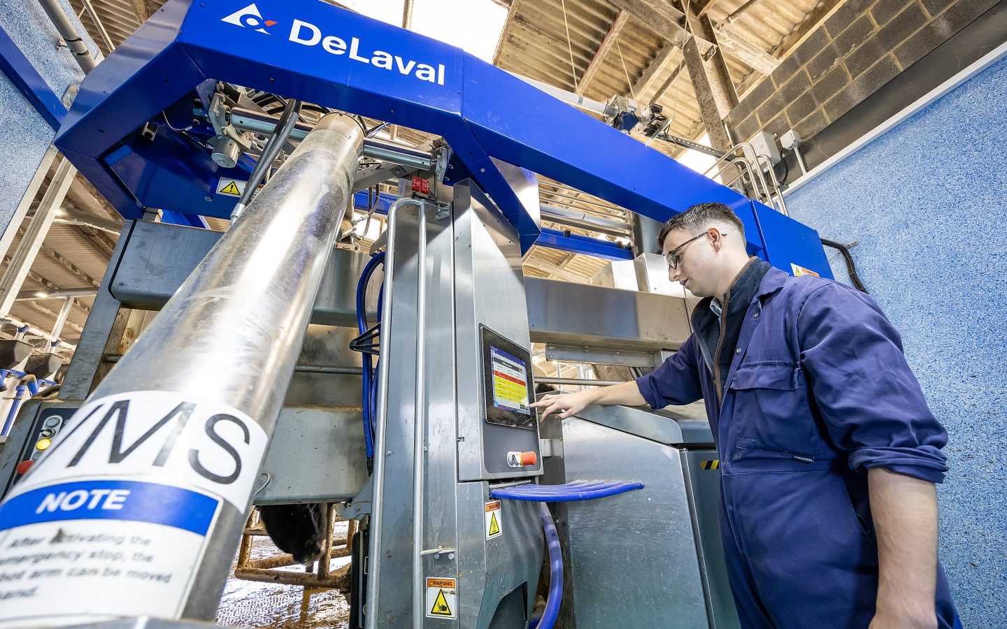 Student using DeLaval Voluntary Milking System