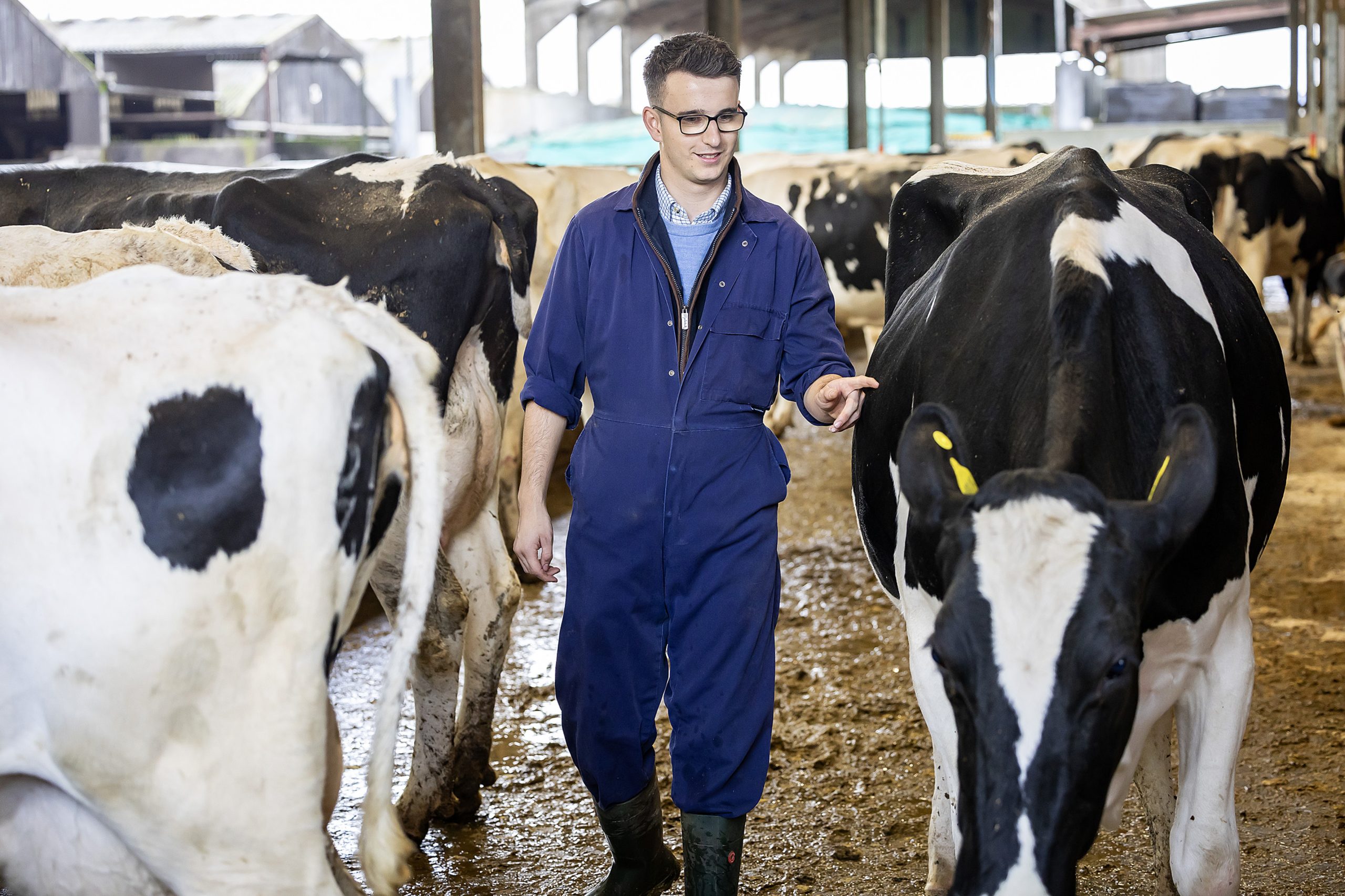 Assistant Farm Manager Course | University Centre Sparsholt