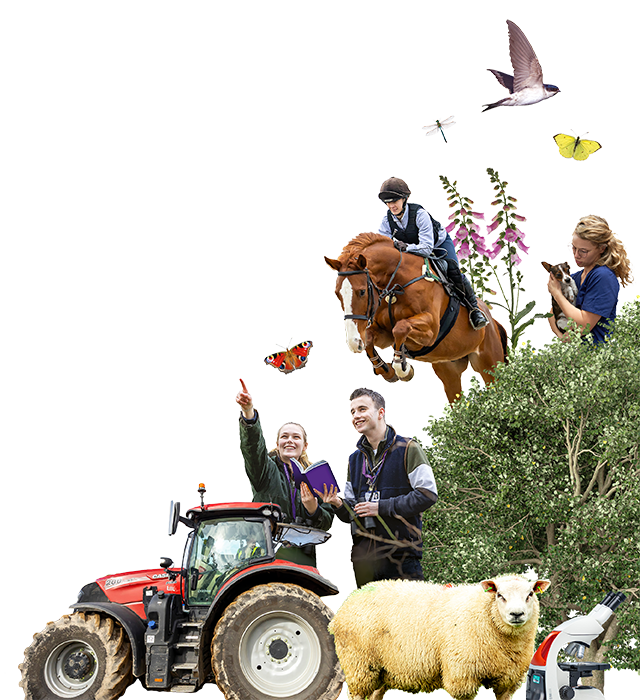 A range of visual objects, plants and animals related to Sparsholt courses